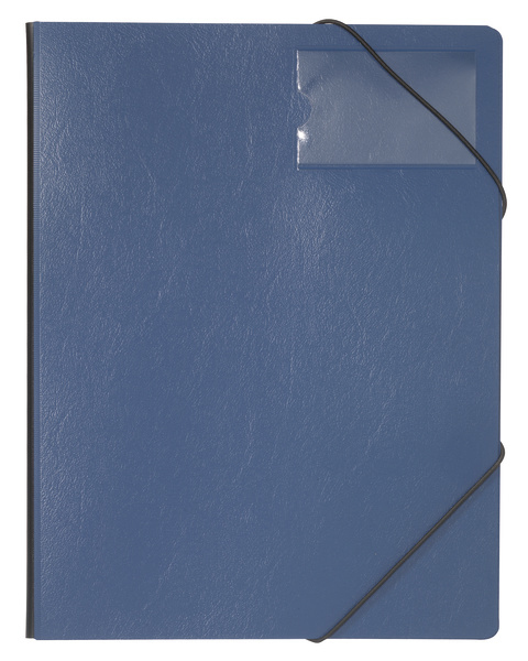 Durable 2320-07 - A4 - PVC - Blau - Porträt - 150 Blätter - Gummiband